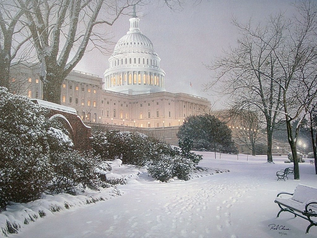 Обои парк, вашингтон, сша, капитолий, холм, park, washington, usa, capitol, hill разрешение 1944x1290 Загрузить