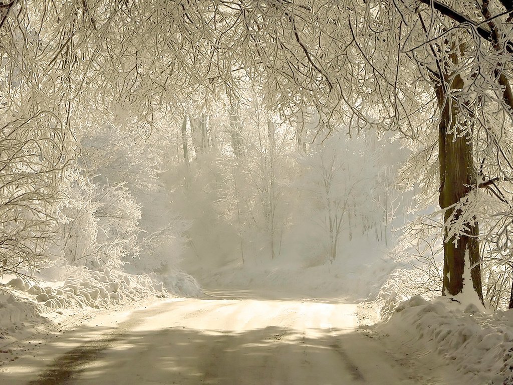 Обои дорога, снег, природа, лес, зима, ветки, мороз, road, snow, nature, forest, winter, branches, frost разрешение 1920x1080 Загрузить