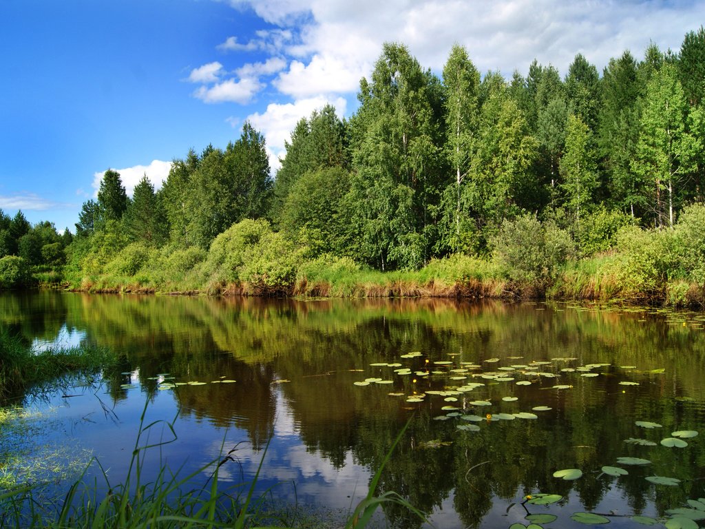 Обои небо, лето, облака, деревья, озеро, река, природа, лес, отражение, the sky, summer, clouds, trees, lake, river, nature, forest, reflection разрешение 3408x2272 Загрузить