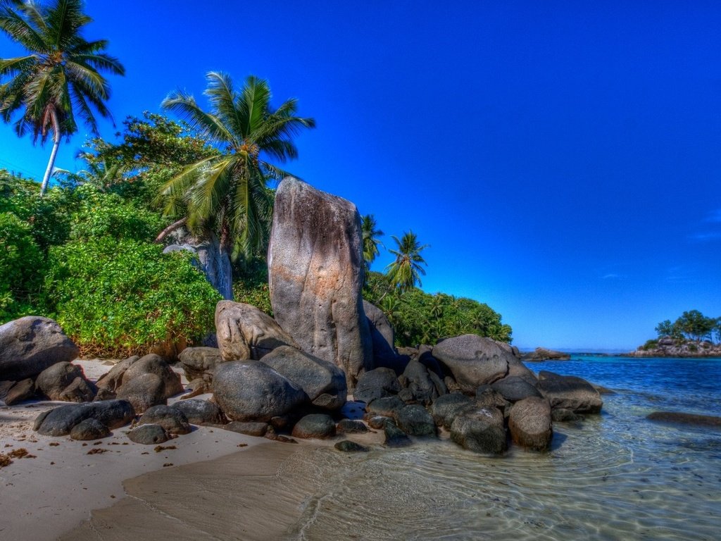 Обои песок, пляж, пальмы, тропики, sand, beach, palm trees, tropics разрешение 1920x1080 Загрузить