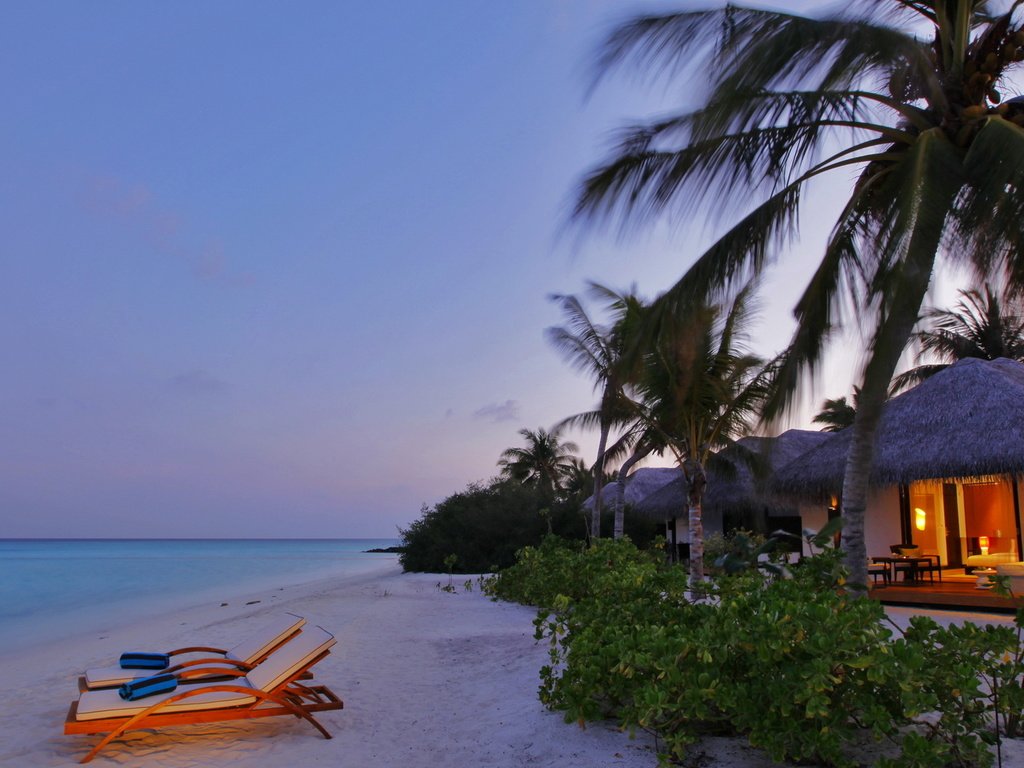 Обои вечер, песок, пляж, пальмы, бунгало, тропики, мальдивы, the evening, sand, beach, palm trees, bungalow, tropics, the maldives разрешение 1920x1080 Загрузить