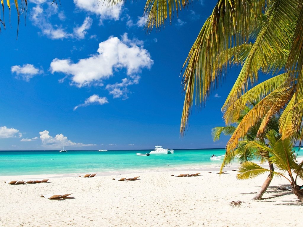 Обои песок, пляж, яхты, пальмы, тропики, sand, beach, yachts, palm trees, tropics разрешение 1920x1080 Загрузить
