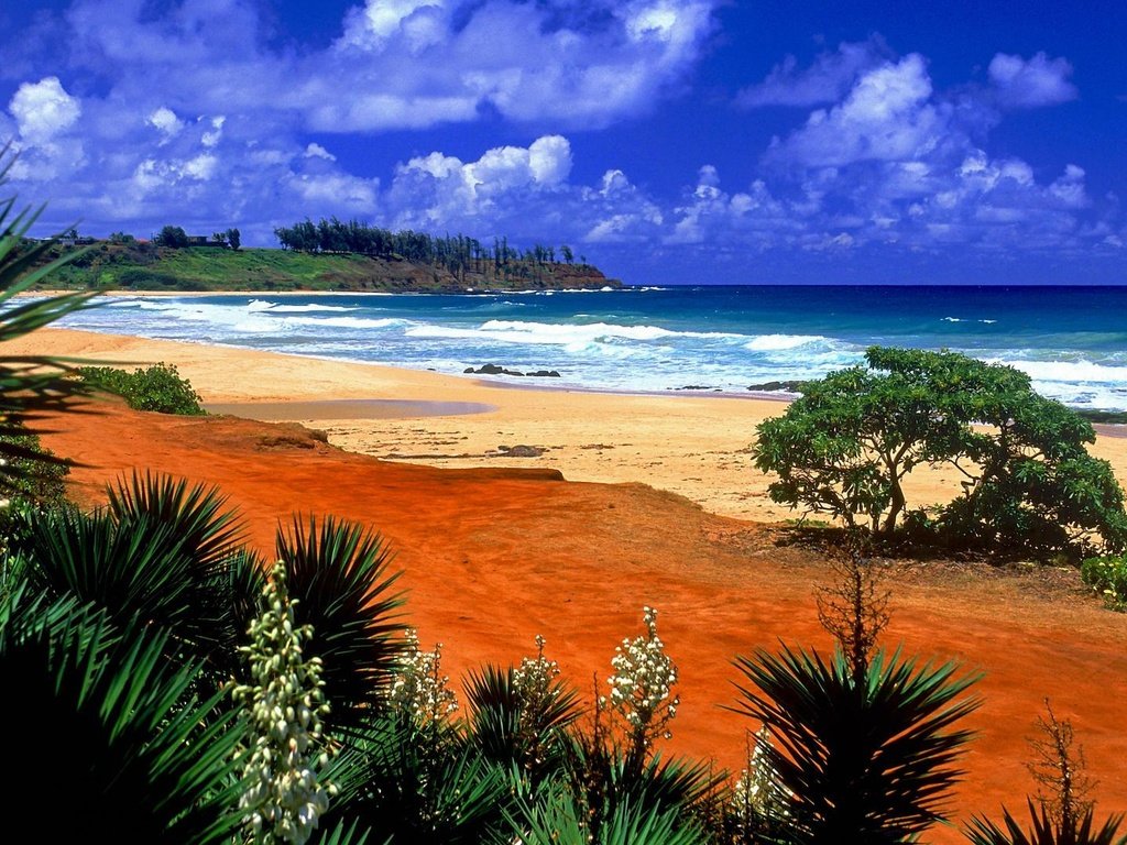 Обои волны, песок, пляж, тропики, wave, sand, beach, tropics разрешение 1920x1080 Загрузить