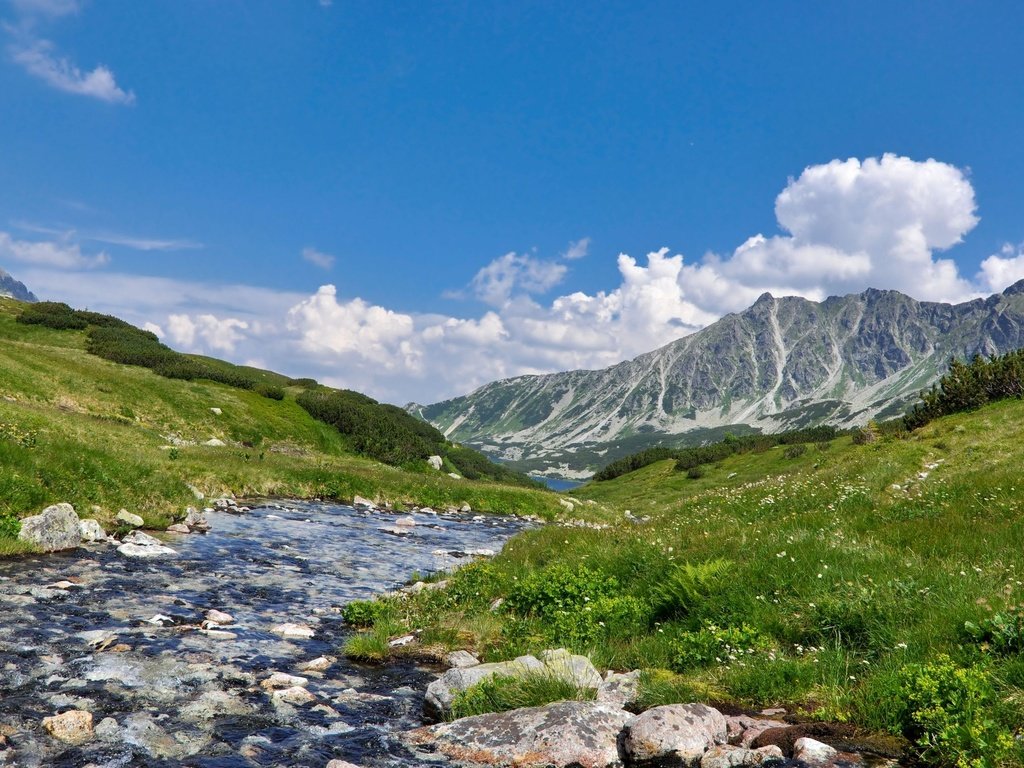 Обои река, горы, природа, пейзаж, scenery, ландшафт, на природе, higland river, river, mountains, nature, landscape разрешение 2560x1600 Загрузить