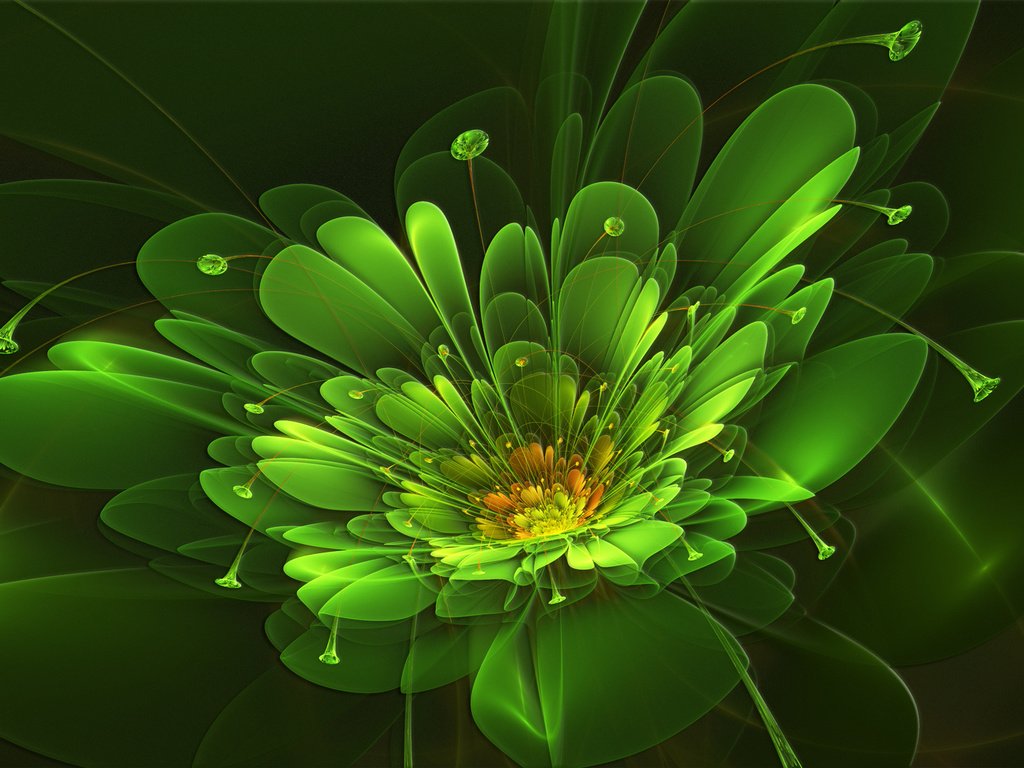 Обои абстракция, зелёный, фон, лучи, цветок, фрактал, abstraction, green, background, rays, flower, fractal разрешение 1920x1080 Загрузить