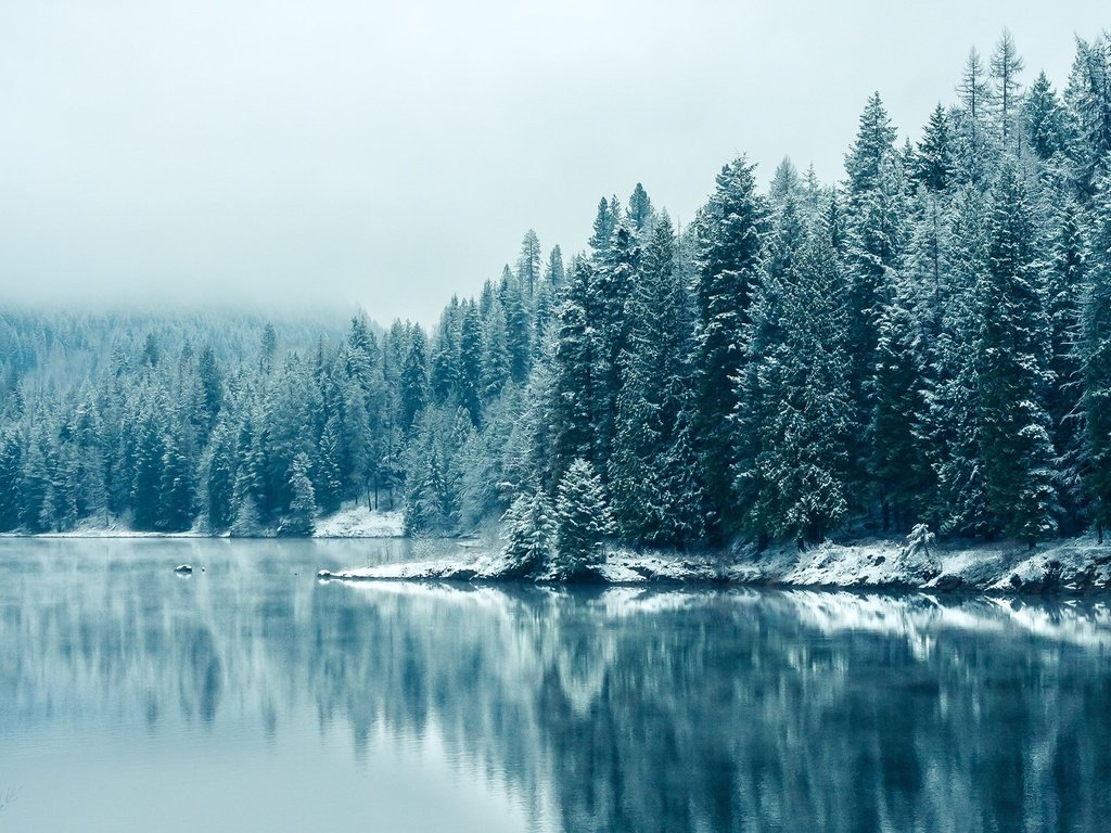 Обои деревья, озеро, снег, лес, зима, отражение, туман, trees, lake, snow, forest, winter, reflection, fog разрешение 1920x1200 Загрузить
