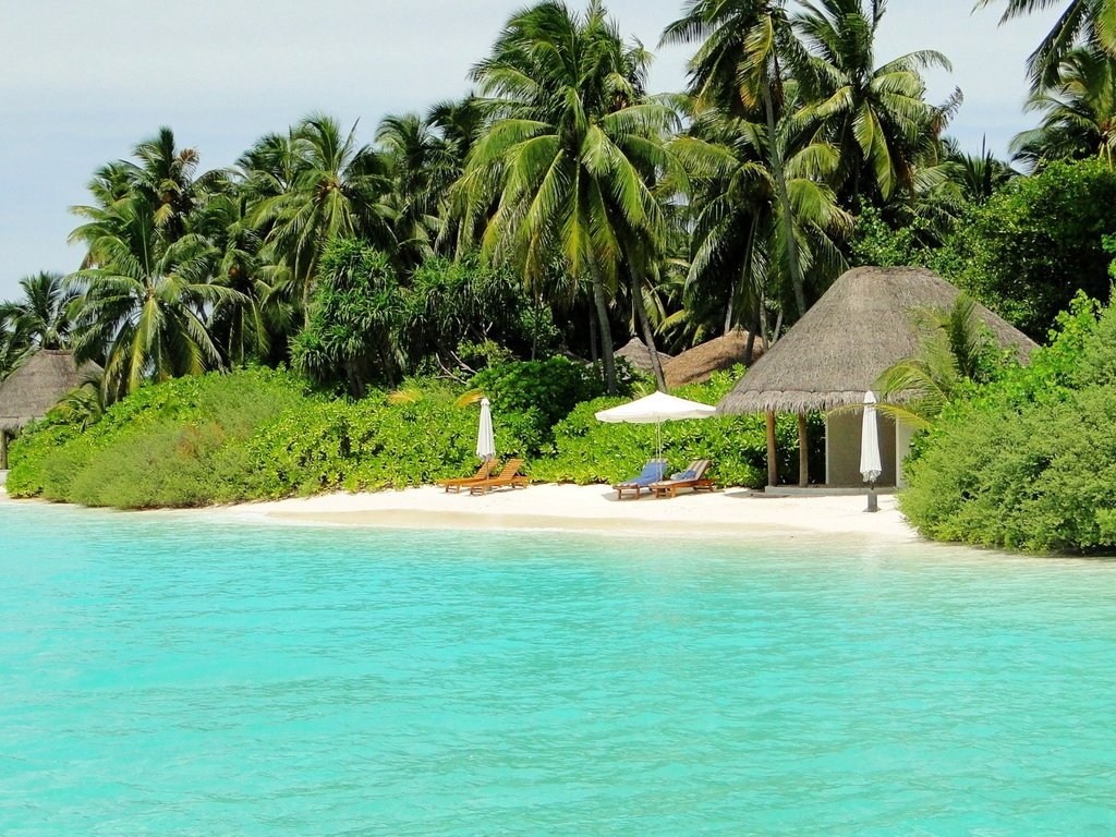 Обои пляж, пальмы, тропики, мальдивы, beach, palm trees, tropics, the maldives разрешение 2880x1800 Загрузить