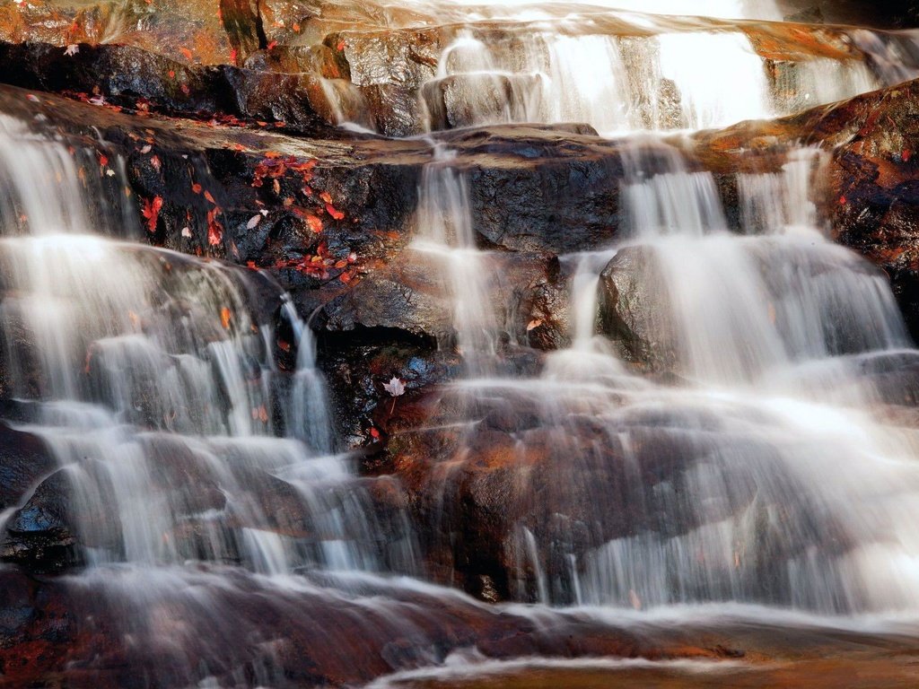 Обои природа, камни, листья, водопад, каскад, nature, stones, leaves, waterfall, cascade разрешение 1920x1180 Загрузить