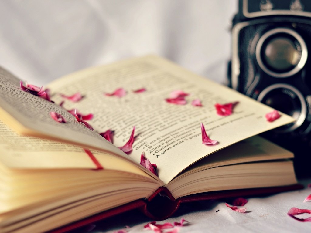 Обои розы, лепестки, фотоаппарат, камера, книга, страницы, roses, petals, the camera, camera, book, page разрешение 2048x1357 Загрузить