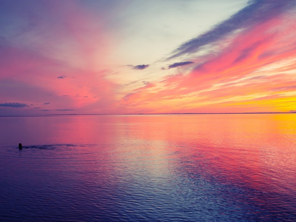 Обои небо, море, туман, рассвет, пловец, купание в море, the sky, sea, fog, dawn, swimmer, swimming in the sea разрешение 1920x1200 Загрузить