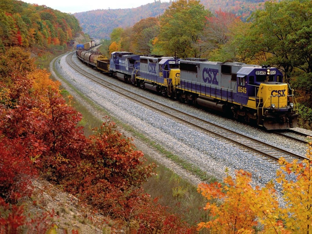 Обои железная дорога, лес, осень, поезд, railroad, forest, autumn, train разрешение 1920x1280 Загрузить