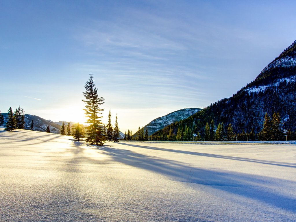 Обои зима, winter разрешение 2560x1600 Загрузить