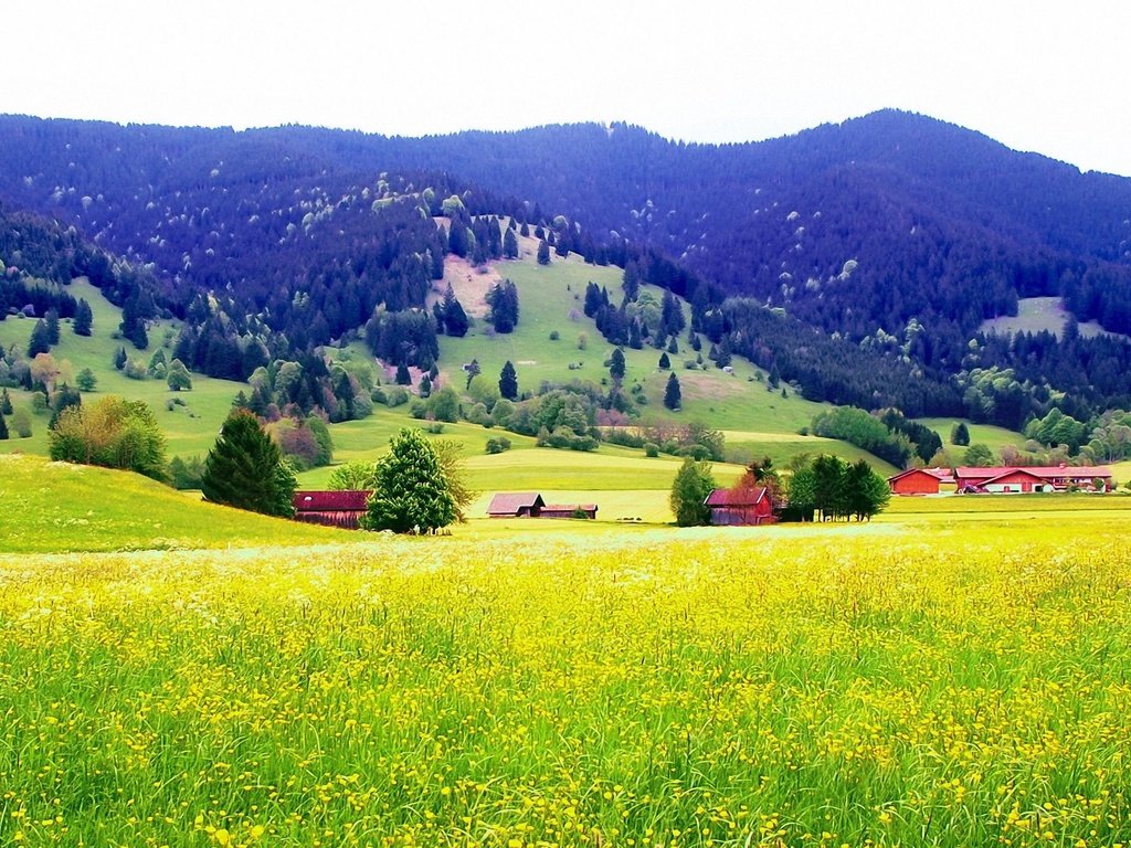 Обои горы, поле, mountains, field разрешение 1920x1200 Загрузить