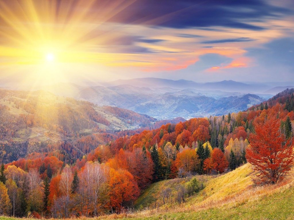 Обои горы, солнце, лес, осень, mountains, the sun, forest, autumn разрешение 1920x1080 Загрузить