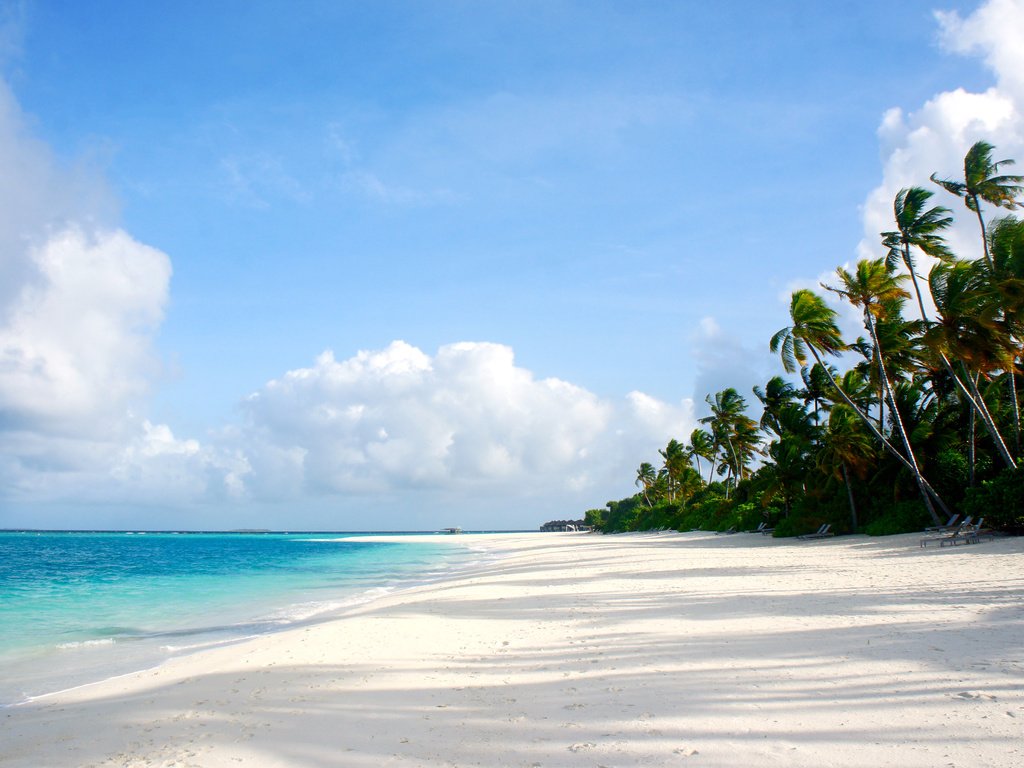 Обои пляж, тропики, beach, tropics разрешение 4505x2940 Загрузить