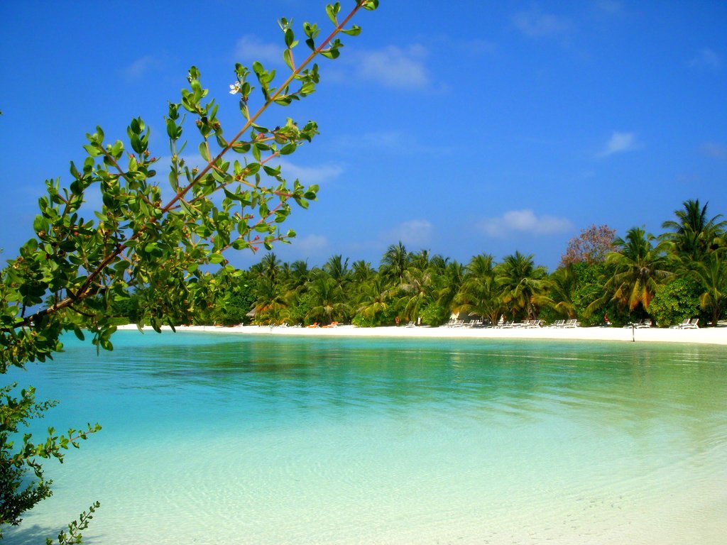 Обои пляж, остров, тропики, мальдивы, beach, island, tropics, the maldives разрешение 2400x1800 Загрузить