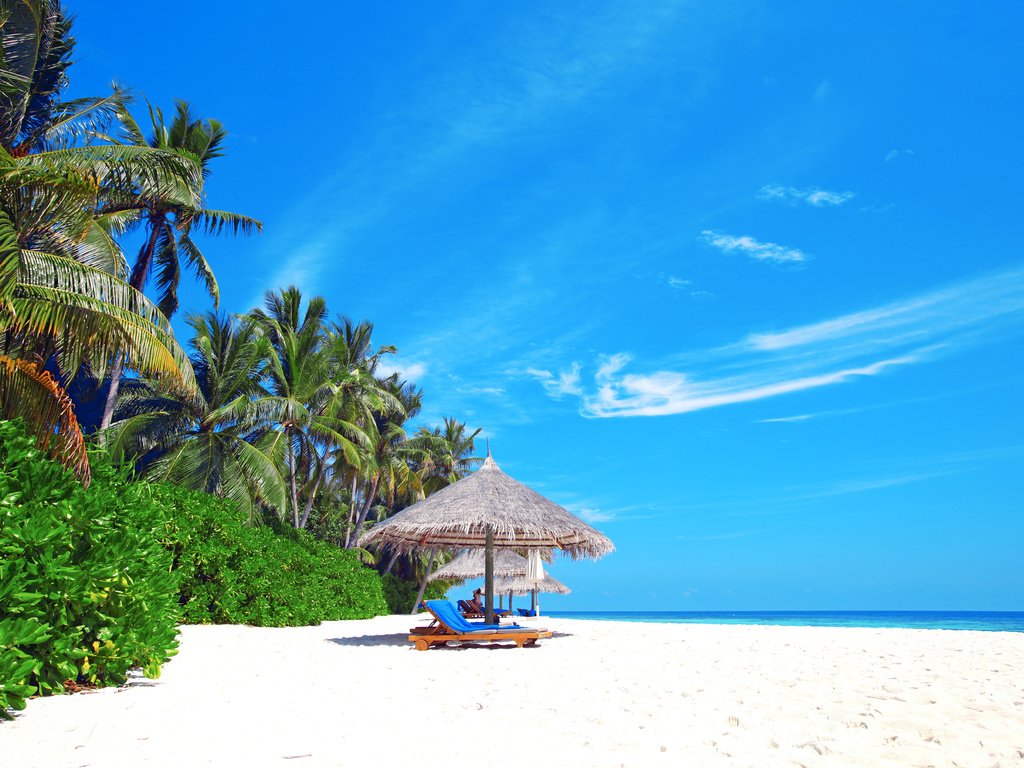 Обои море, пляж, тропики, мальдивы, sea, beach, tropics, the maldives разрешение 5755x3952 Загрузить