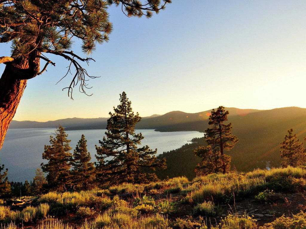 Обои озеро, природа, дерево, калифорния, сосна, озеро тахо, lake, nature, tree, ca, pine, lake tahoe разрешение 1920x1200 Загрузить