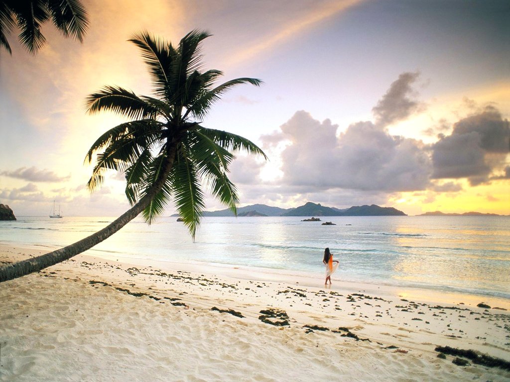 Обои девушка, море, пляж, пальма, отдых, тропики, girl, sea, beach, palma, stay, tropics разрешение 2577x1943 Загрузить
