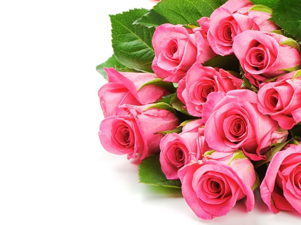 Обои цветы, розы, букет, розовый, flowers, roses, bouquet, pink разрешение 2560x1600 Загрузить