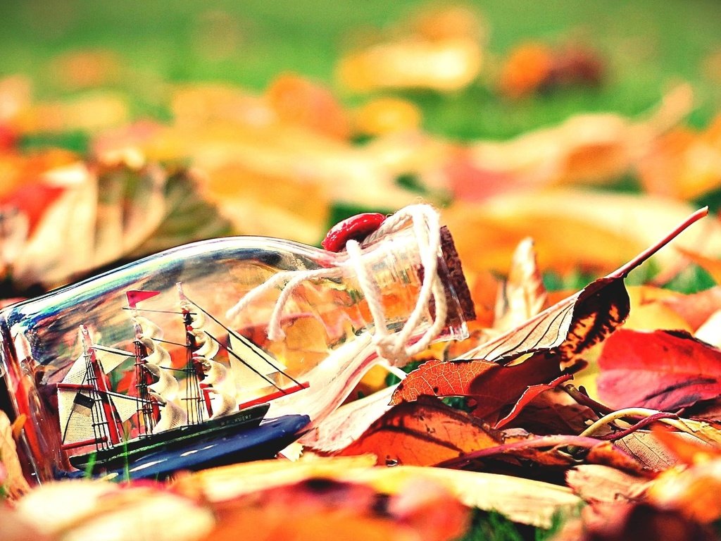 Обои листья, настроение, осень, бутылка, кораблик, leaves, mood, autumn, bottle, boat разрешение 1920x1200 Загрузить