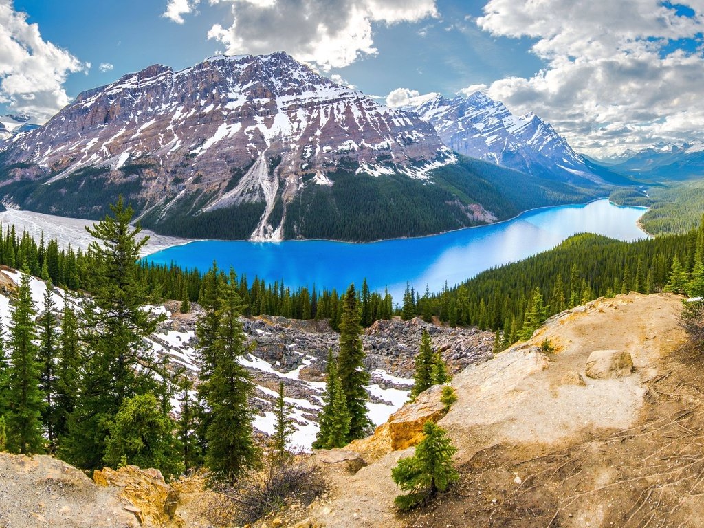 Обои канада, национальный парк банф, peyto lake, ab, canada, banff national park разрешение 2560x1600 Загрузить