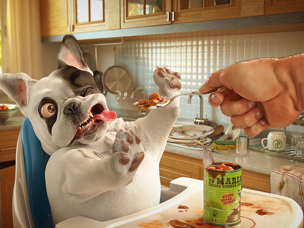 Обои лапы, собака, язык, обед, корм, хозяин, paws, dog, language, lunch, food, the owner разрешение 1920x1080 Загрузить