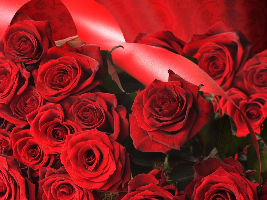 Обои цветы, розы, качественные, flowers, roses, quality разрешение 2560x1600 Загрузить
