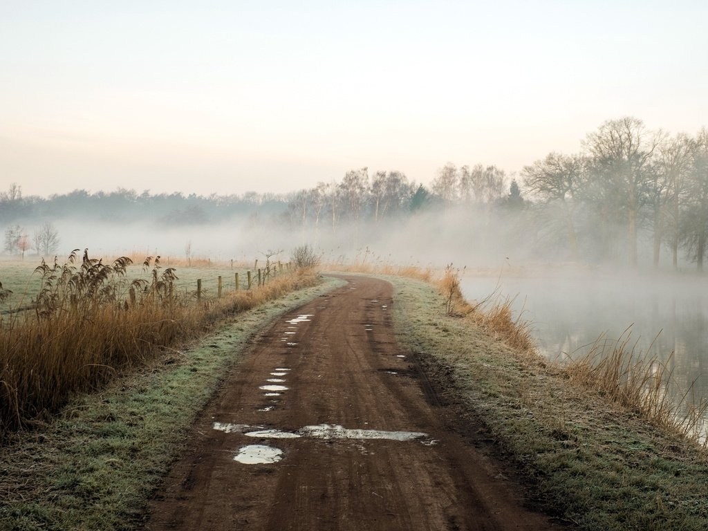 Обои дорога, река, природа, пейзаж, утро, туман, road, river, nature, landscape, morning, fog разрешение 2048x1365 Загрузить