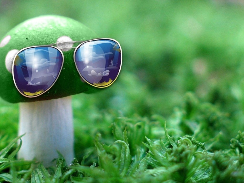 Обои природа, зелёный, макро, очки, гриб, nature, green, macro, glasses, mushroom разрешение 1932x1208 Загрузить