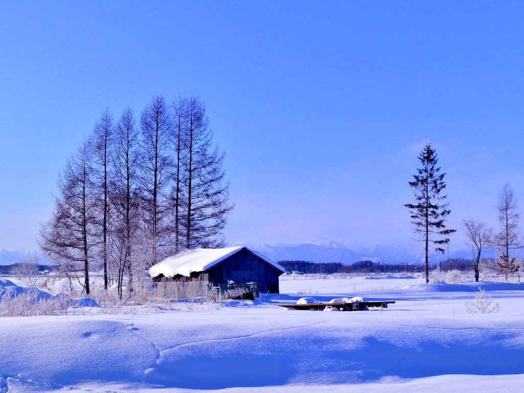 Обои деревья, снег, зима, поле, дом, trees, snow, winter, field, house разрешение 1920x1200 Загрузить