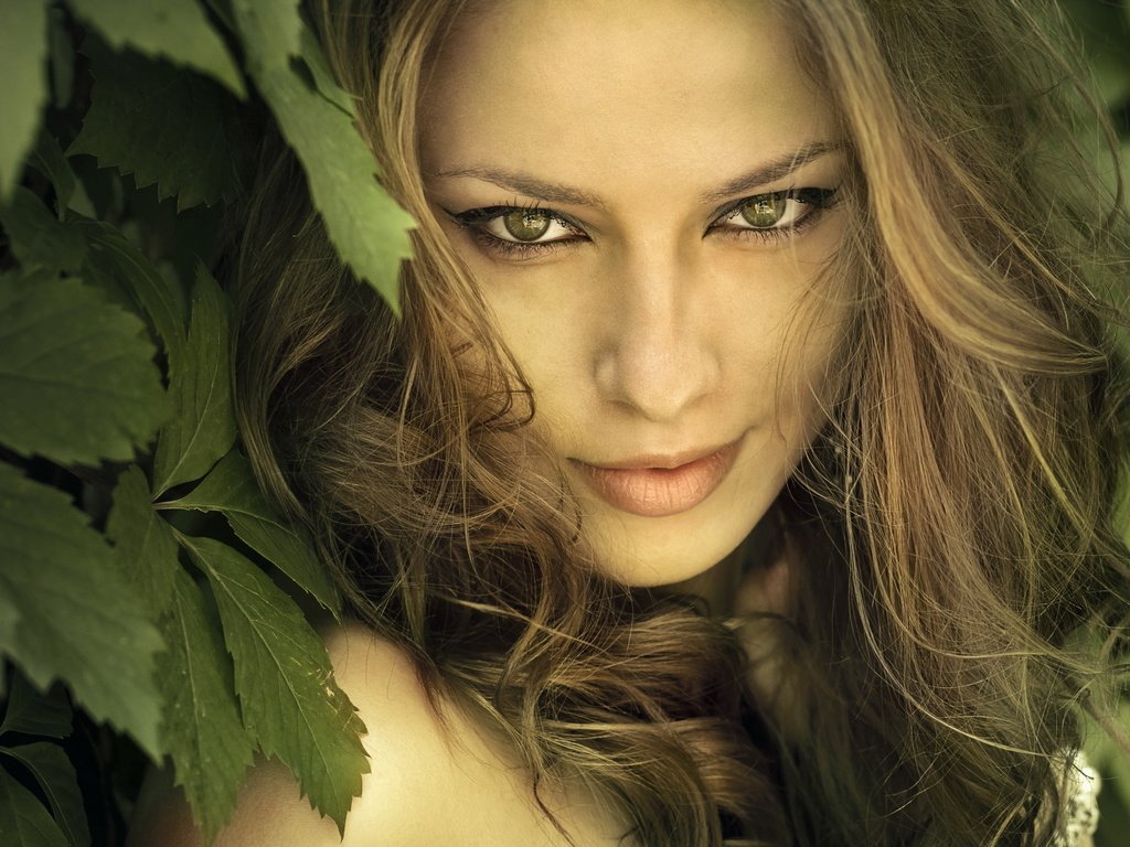 Обои глаза, природа, листья, девушка, взгляд, волосы, лицо, eyes, nature, leaves, girl, look, hair, face разрешение 2560x1600 Загрузить