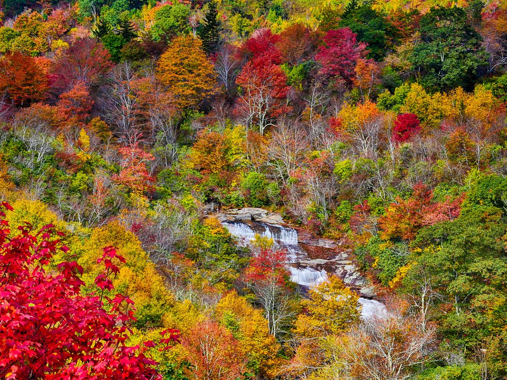 Обои деревья, осень, поток, речка, trees, autumn, stream, river разрешение 2048x1365 Загрузить