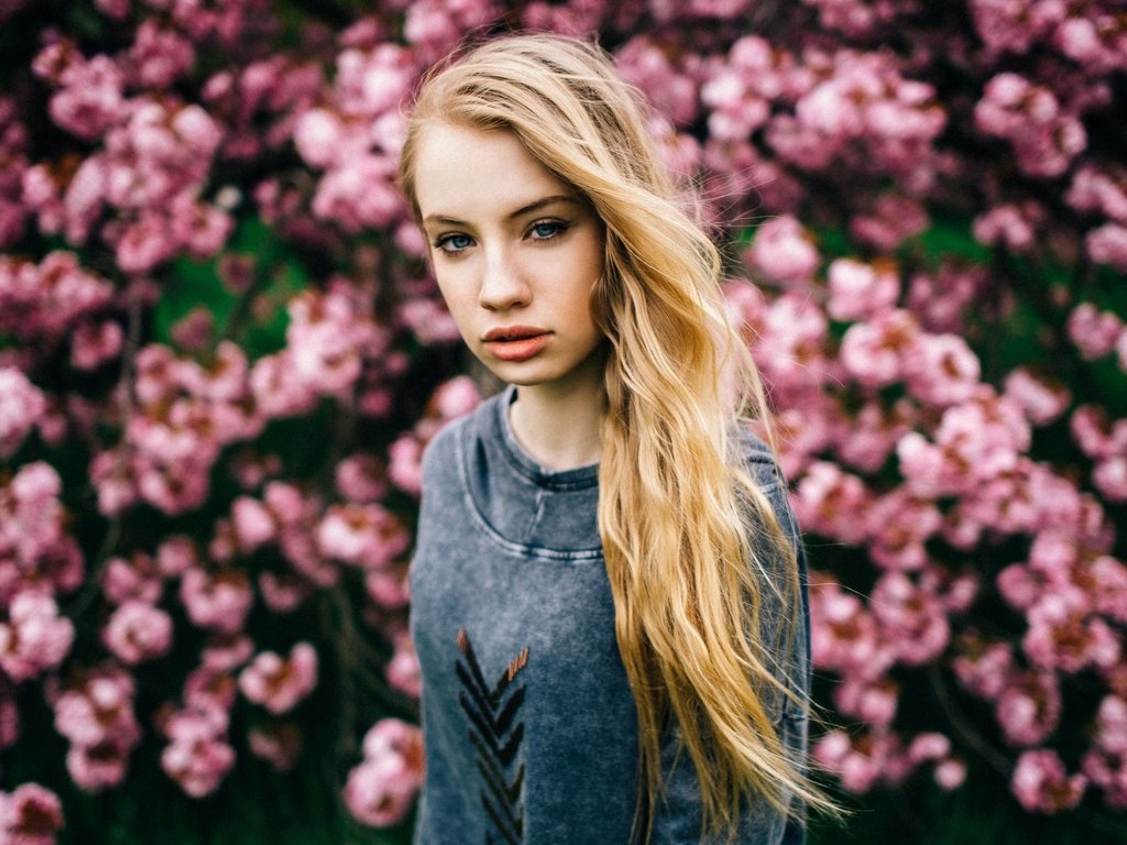 Обои цветы, девушка, фон, блондинка, взгляд, flowers, girl, background, blonde, look разрешение 1920x1200 Загрузить