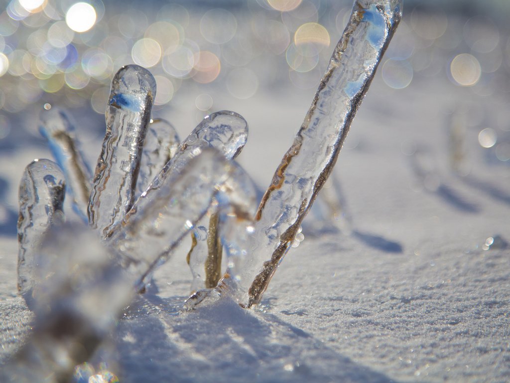 Обои снег, зима, макро, лёд, боке, snow, winter, macro, ice, bokeh разрешение 2048x1365 Загрузить