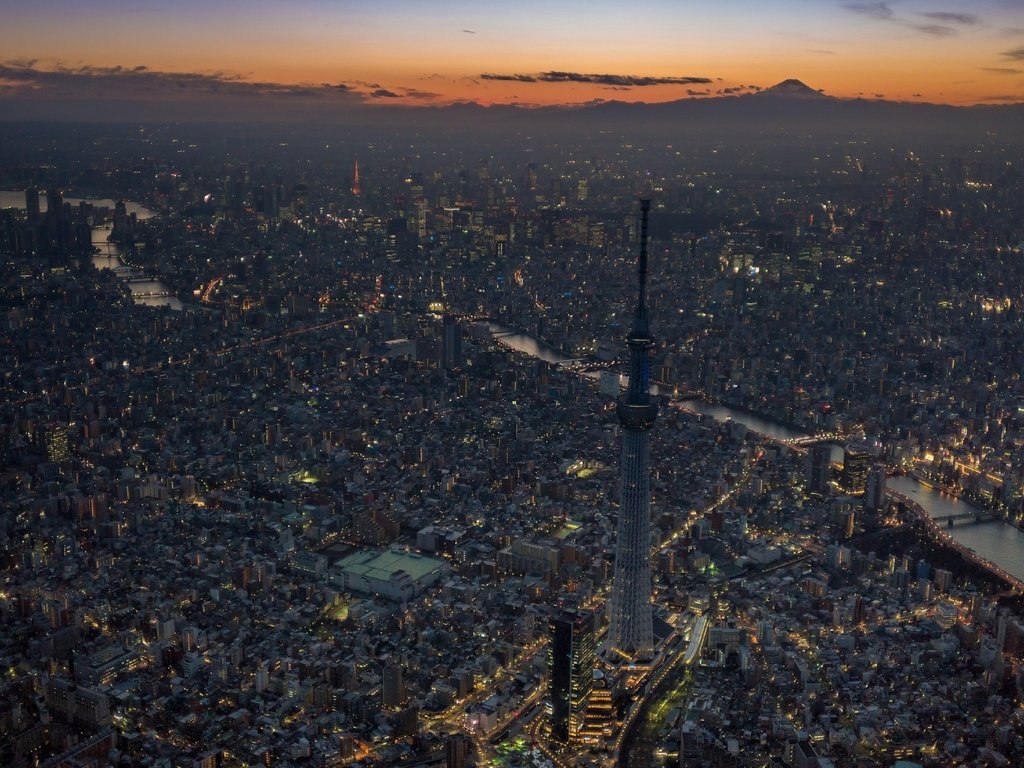 Обои япония, небоскребы, мегаполис, токио, japan, skyscrapers, megapolis, tokyo разрешение 2880x1923 Загрузить