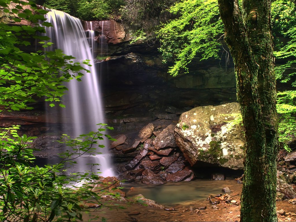 Обои деревья, вода, природа, камни, зелень, растения, водопад, trees, water, nature, stones, greens, plants, waterfall разрешение 1920x1200 Загрузить