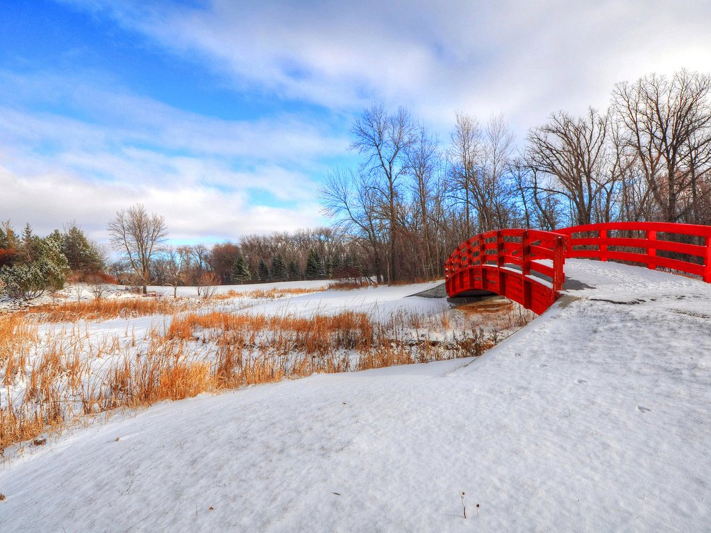 Обои небо, деревья, снег, зима, парк, мост, the sky, trees, snow, winter, park, bridge разрешение 2048x1360 Загрузить