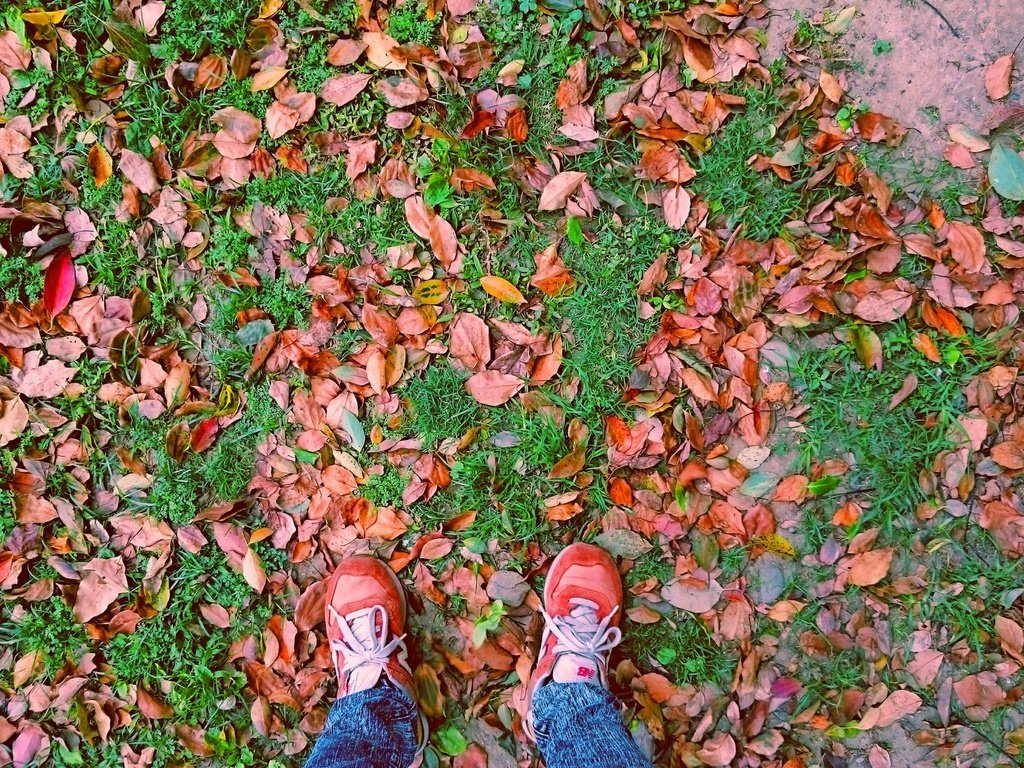 Обои листья, осень, ноги, листик, листопад, leaves, autumn, feet, leaf, falling leaves разрешение 2133x1200 Загрузить