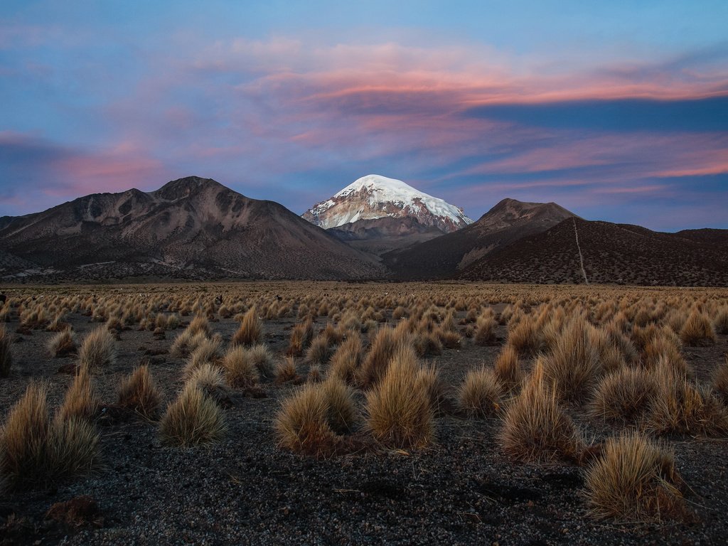 Обои небо, вечер, горы, снег, кусты, боливия, the sky, the evening, mountains, snow, the bushes, bolivia разрешение 2048x1365 Загрузить