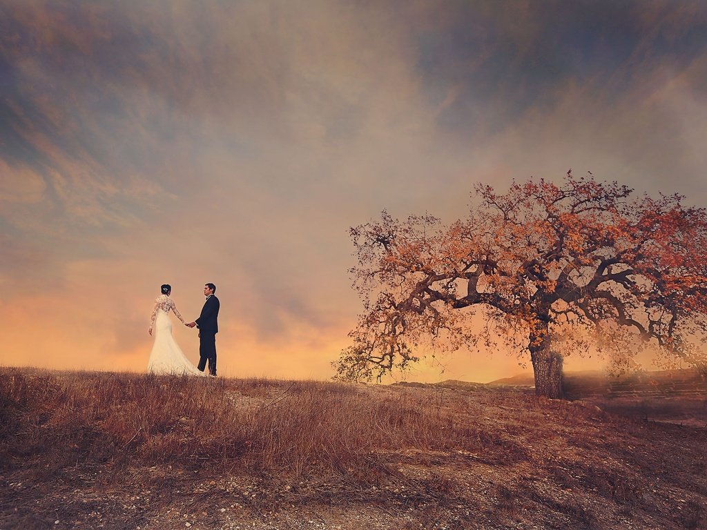 Обои небо, дерево, поле, пара, жених, невеста, свадебное платье, the sky, tree, field, pair, the groom, the bride, wedding dress разрешение 2048x1408 Загрузить