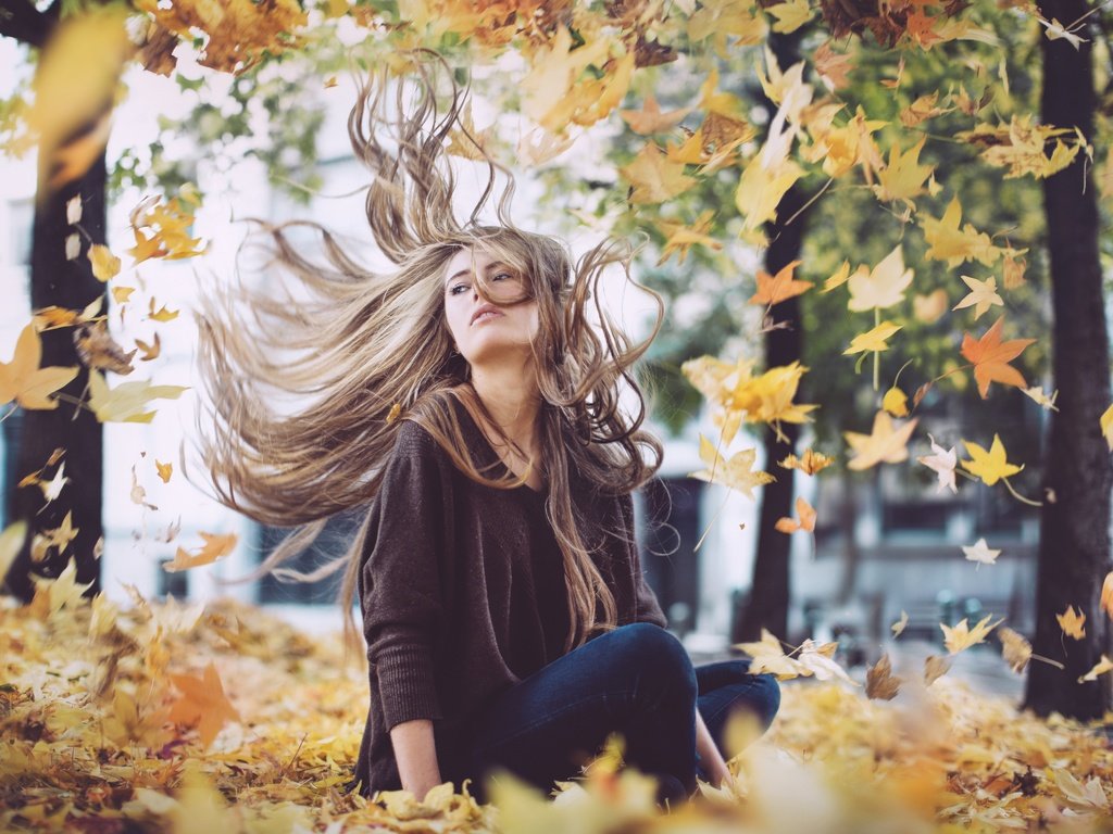 Обои листья, девушка, осень, волосы, дэвид olkarny, leaves, girl, autumn, hair, david olkarny разрешение 2880x1920 Загрузить