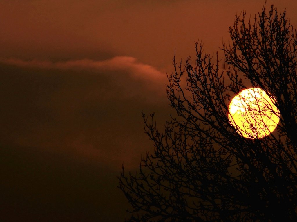 Обои небо, облака, солнце, дерево, закат, силуэт, the sky, clouds, the sun, tree, sunset, silhouette разрешение 2048x1365 Загрузить