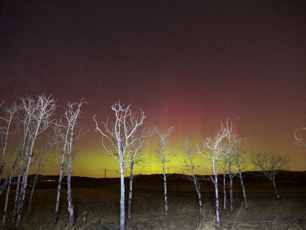 Обои небо, свет, ночь, деревья, звезды, зарево, the sky, light, night, trees, stars, glow разрешение 2048x1365 Загрузить