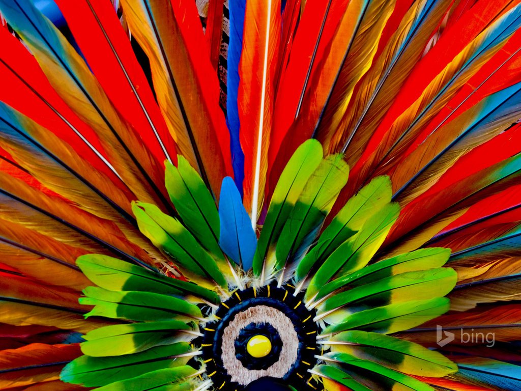 Обои макро, краски, перья, ацтеки, головной убор, macro, paint, feathers, the aztecs, headdress разрешение 1920x1200 Загрузить