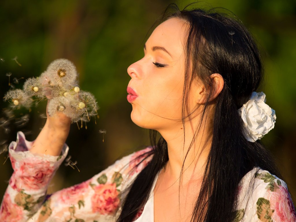 Обои цветы, брюнетка, модель, лицо, кети, одуванчик, flowers, brunette, model, face, katie, dandelion разрешение 5416x3480 Загрузить