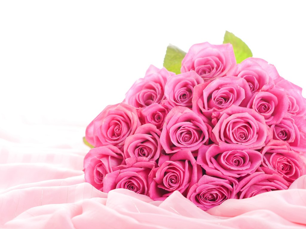 Обои цветы, бутоны, розы, букет, розовые, flowers, buds, roses, bouquet, pink разрешение 3840x2400 Загрузить