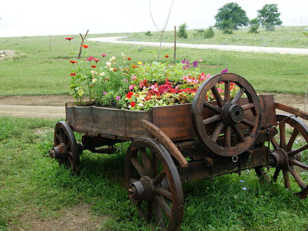 Обои цветы, природа, поле, телега, flowers, nature, field, cart разрешение 2560x1600 Загрузить