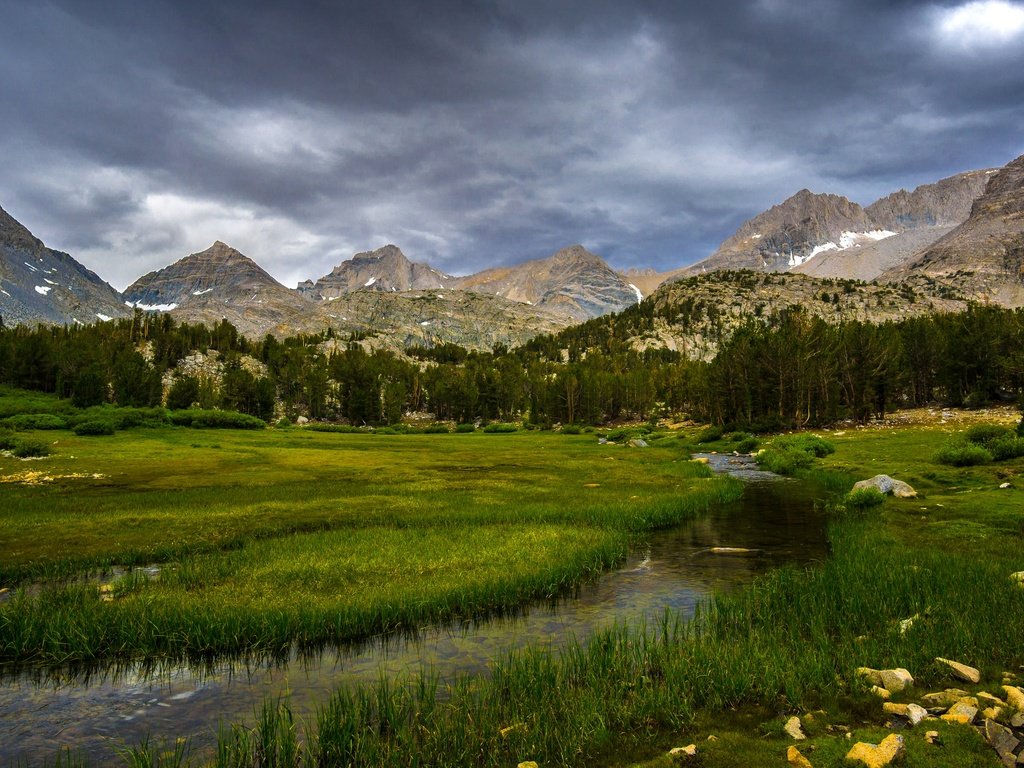 Обои трава, сша, деревья, калифорния, горы, inyo national forest, скалы, камни, лес, ручей, поляна, grass, usa, trees, ca, mountains, rocks, stones, forest, stream, glade разрешение 2880x1620 Загрузить