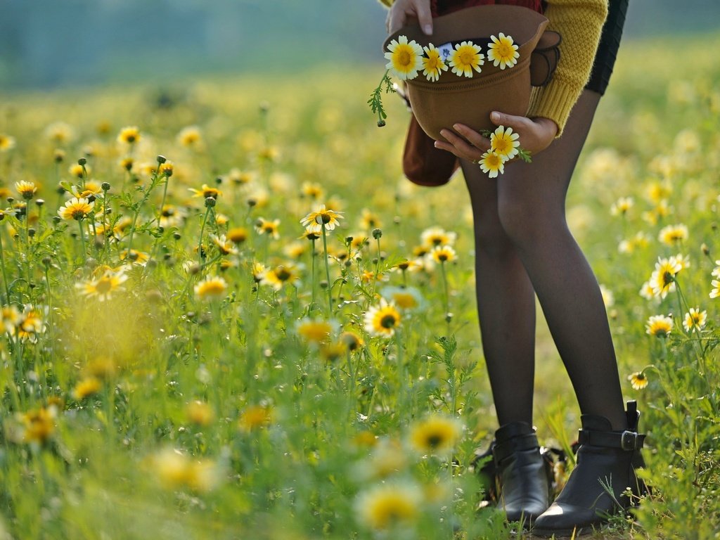 Обои цветы, девушка, настроение, лето, ноги, шляпа, flowers, girl, mood, summer, feet, hat разрешение 2560x1707 Загрузить